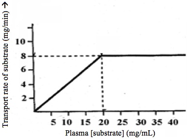Homeostasis and Endocrine System Exam - Quizerry
